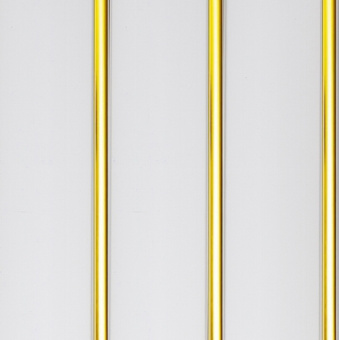 панель пвх 8мм (0,24x3,0м.) cофитто золото лак 3-х полосный выпукл. люкс (вн/пом.) мп мрт (1/10)